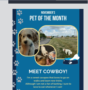 I'm Pet of the Month!